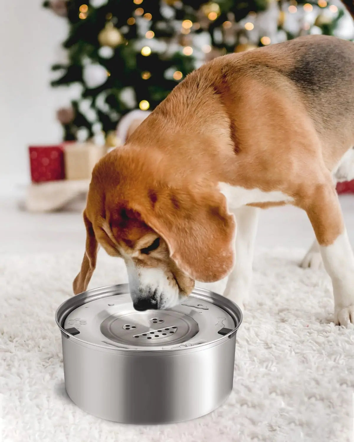 Heavy-Duty Stainless No Mess Water Bowl