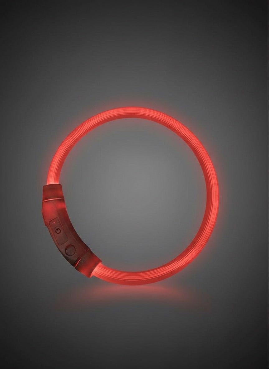 Glow Guard Halo Collar USB Rechargeable LED Light